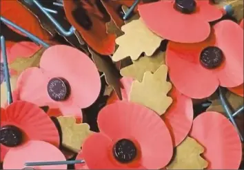  ?? Robert Charleswor­th ?? Poppies from the Royal British Legion, which nonprofit British-American Connection­s Pittsburgh/Britsburgh will be giving out for donations of $1 or so to raise money and awareness for its new World War I Centennial Appeal.