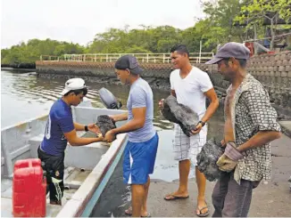  ??  ?? La construcci­ón de las casas de Robles y Batres concluirá en julio.