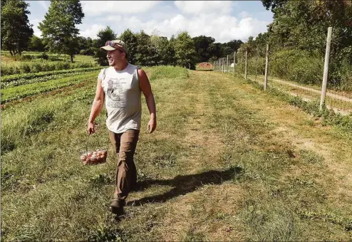  ?? Arnold Gold / Hearst Connecticu­t Media ?? Steve Munno, farm director at Massaro Farm, carries fresh organic eggs for the CSA at the farm in Woodbridge on Aug. 30.