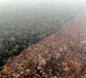  ?? AFP ?? La Amazonía registró múltiples incendios forestales