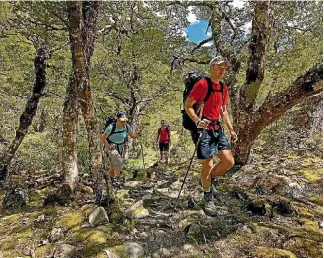  ?? ULTIMATE HIKES ?? The track is easy, and the scenery is typically beautiful with mountains, lake, tussocky river flats and bush.