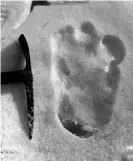  ??  ?? A footprint purporting to be that of the abominable snowman, taken near Mount Everest in 1951. Photograph: Topical Press Agency/Getty Images