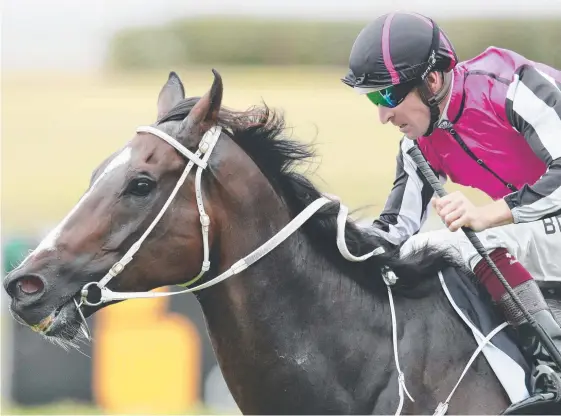  ?? Picture: MARK EVANS ?? Hanwritten wins for jockey Hugh Bowman at Randwick during the horse’s days in Sydney.