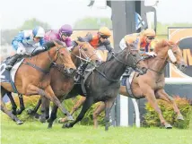  ?? Picture / Trish Dunell ?? Hard Merchandiz­e (one off fence) winning the Hawke’s Bay Guineas in October.