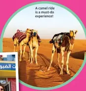  ??  ?? A camel ride is a must-do experience!