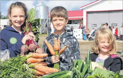  ?? SAM MCNEISH/THE TELEGRAM ?? This trio of children decided it would be fun to help choose vegetables for Sunday supper while also attending Open Farm Day NL activities at Woodland Farms in Goulds. Grace Ryan (left), 10, Liam Ryan (centre), 8, and Erin Ryan, 6, grabbed a few of...