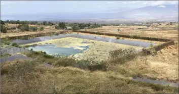  ?? The Maui News / MATTHEW THAYER photo ?? A dwindling Upcountry reservoir along Kula Highway is filled with algae in July. Maui County Water Supply Director Jeff Pearson said on Wednesday that recent rainfall has brought Upcountry reservoirs back to near capacity.