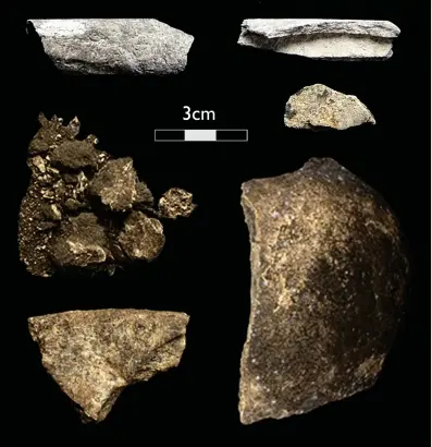  ??  ?? Left: Excavation­s at large shell middens left by generation­s of coastal fishers on Oronsay, in the Inner Hebrides, occurred most recently in the 1970s. Human remains among the waste suggest people were buried in the mounds, perhaps having died on the small island when visiting to fish and hunt.
A 2016 study by Sophy Charlton and others ( Journal of Archaeolog­ical Science 73) used zooms to determine species represente­d by small bone fragments from Cnoc Coig: in the photo, at top left is seal and top right pig, and the rest are human. These are the most recent Mesolithic human remains from the uk, some dated to around 4000bc and contempora­ry with the earliest Neolithic farmers in Scotland. adna was obtained from a skull fragment