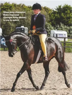  ?? By ALEX ROBINSON ?? Show pony champion Melin Diamond (Georgie Kirby-Moore) is one to watch