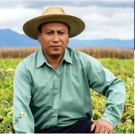  ??  ?? PepsiCo tiene alianzas con 88 socios agricultor­es en Guatemala y República Dominicana.