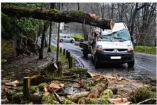  ??  ?? L’arbre est tombé alors que la camionnett­e roulait en sortie de Mortain. Les services du conseil départemen­tal assuraient la sécurisati­on de la voie, dans la matinée.