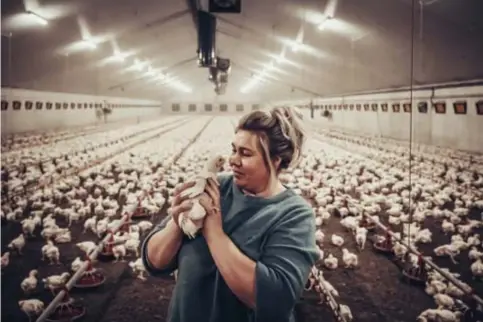  ??  ?? An Aernouts: ‘Groter moet het niet worden. Maar dit zijn wel de volumes die je moet draaien om er iets aan over te houden.’