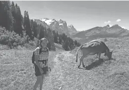  ??  ?? Cowbells provided the soundtrack for part of the way as Lisa Jones hiked in Switzerlan­d.