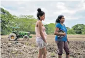  ??  ?? Marisela Febres inspects the carcass of a cow that died while her farm was under government control, right. Left, subsistenc­e farmer Nori Rivas and her daughter struggle to tend their land