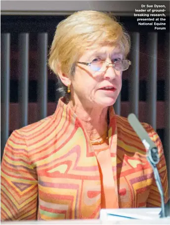  ??  ?? Dr Sue Dyson, leader of groundbrea­king research, presented at the National Equine Forum