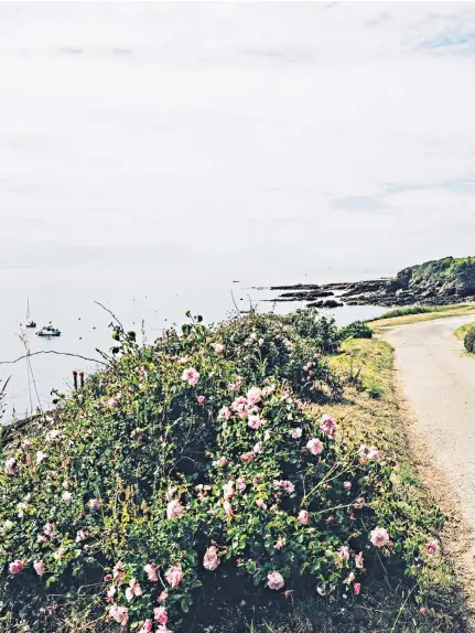  ?? ?? h Under your own steam: Ile de Groix has the relaxed vibe of Cornwall – but with better weather