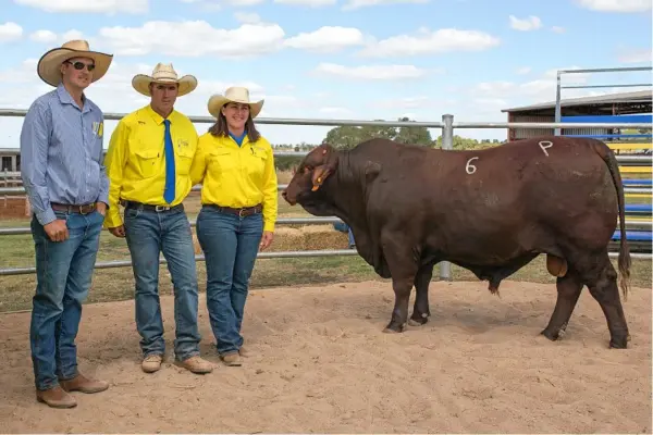  ?? PHOTO: LYNETTE VICARY ?? GREAT RESULT: Lance Baker, Woodmillar, Gayndah, with Chris and Elisa Fox and Codinda’s top selling bull, Nunya.