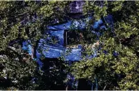  ??  ?? Perched: Treehouse occupied by activists. Right, demonstrat­or among the leaves