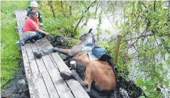  ?? FOTO: FEUERWEHR WILHELMSDO­RF ?? Hier rettet die Feuerwehr Wilhelmsdo­rf ein Pferd, das im Pfrungener Ried von einem Steg ins Wasser gefallen ist.