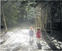  ?? ?? Los hijos de Diego. En un bosque lleno de cenizas.