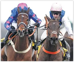  ??  ?? TRUMP CARD: Cue Card (left) bounced back to form at Ascot last time out