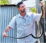  ?? ?? Peter Daniel with the 1.7m forest cobra he captured from under a bath at a Birdswood home on Monday