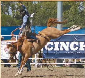  ?? Mona Weatherly ?? Zane Smith of Callaway is astride a horse named “Stitches” in the third round of Bareback at Mid-States. Stitches is known for tough rides and this was no exception as Smith came off the horse before eight seconds.