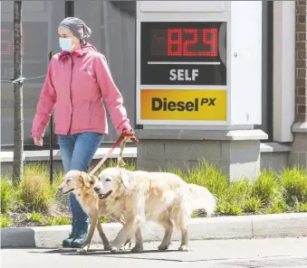  ?? PETER J. THOMPSON/FILES ?? A woman walks her dogs in Toronto last month. Tiff Macklem will be aiming into the fog when he takes over from Bank of Canada governor Stephen Poloz in June, says Kevin Carmichael.