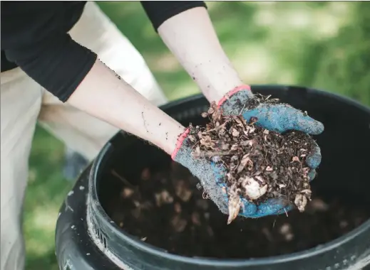  ?? ?? You need never be short of nutrient-rich compost again