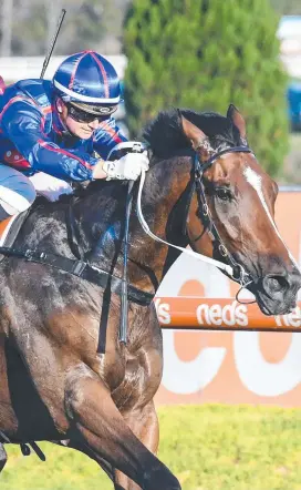  ?? ?? Ayrton (NZ) wins the Neds Victoria Handicap. Picture: Getty Images