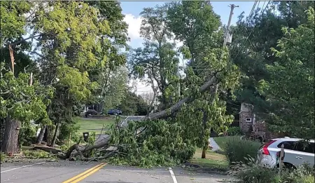  ?? MELISSA SCHUMAN - MEDIANEWS GROUP FILE ?? Downed trees and power lines were a common sight in East Greenbush the day after the October massive storm.