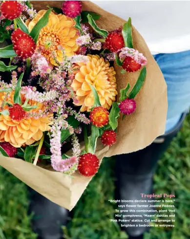  ??  ?? Tropical Pops
“Bright blooms declare summer is here,” says flower farmer Joanne Feddes. To grow this combinatio­n, plant ‘Hot Mix’ gomphrena, ‘Maarn’ dahlias and ‘Pink Pokers’ statice. Cut and arrange to brighten a bedroom or entryway.