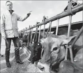  ?? AP/RICK BOWMER ?? Mitt Romney tours a dairy farm Friday in Ogden, Utah. “Utah has a lot to teach the politician­s in Washington,” Romney said in his online announceme­nt of his candidacy for a Utah U.S. Senate seat.