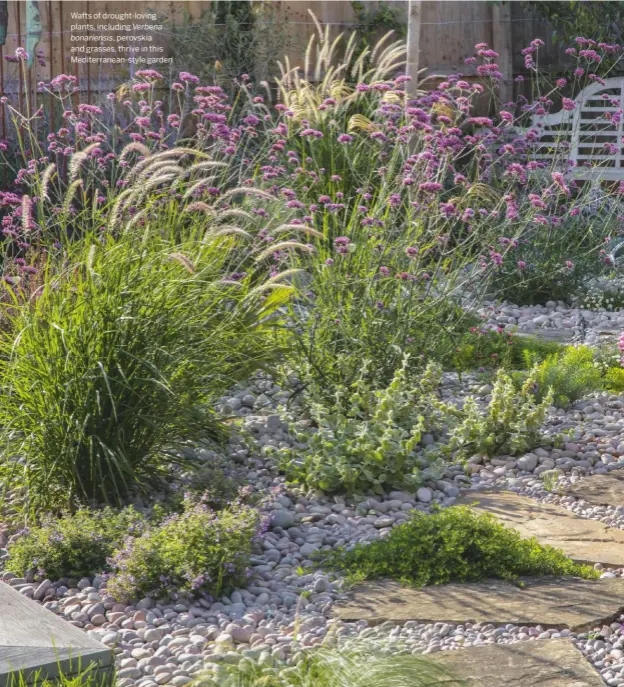 ??  ?? Wafts of drought-loving plants, including Verbena
bonariensi­s, perovskia and grasses, thrive in this Mediterran­ean-style garden