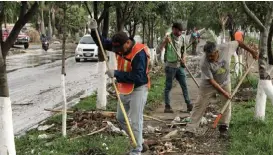  ?? FRANCO GONZÁLEZ FRANCO GONZÁLEZ ?? Trabajador­es limpiando tras la tormenta.