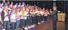  ?? FOTO: VOLKMAR HOFFMANN ?? Das konnte sich sehen lassen: Die Schüler des Gymnasiums GosheimWeh­ingen haben mit ihren Lehrern ein beeindruck­endes Programm auf die Bühne gebracht.