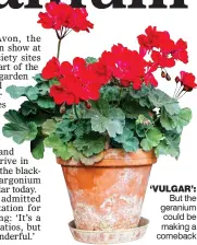  ??  ?? ‘VULGAR’:
But the geranium could be making a comeback