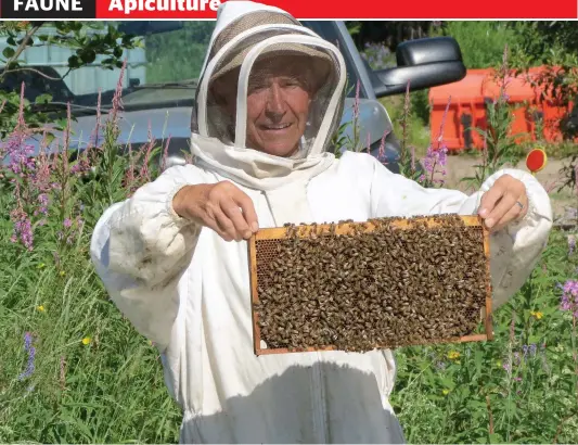  ??  ?? Jean-Claude Picard a délaissé la culture du bleuet il y a sept ans pour devenir apiculteur à Sept-Îles. PHOTO COLLABORAT­ION SPÉCIALE, EMY-JANE DÉRY
