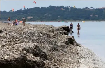  ?? (Photo Laurent Martinat) ?? La présence de posidonies assure surtout la survie des plages du littoral métropolit­ain.