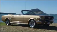  ??  ?? Mt Maunganui makes a great backdrop for BOP Mustang club members Graham and Debra Coombes ’64 ½ convertibl­e