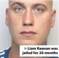  ??  ?? > Liam Keenan was jailed for 20 months