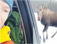  ??  ?? Matt Mosteller takes a moose-selfie while waiting out a pair of curious moose. His family had two interactio­ns with moose on Monday.