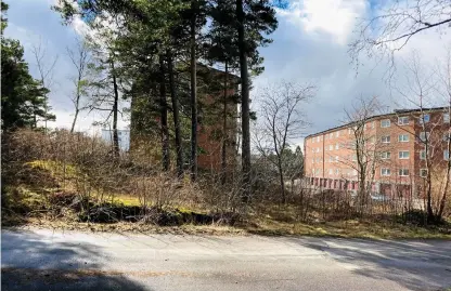  ?? Bild: Yvonne Olsson ?? I ett litet skogsparti vid Hjortmosse­gatan ska det byggas två högre hus. Närmaste grannar – i husen till vänster bakom träden – har överklagat, men fick avslag i mark- och miljödomst­olen. Till höger syns Hästskohus­en.