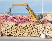  ?? PHOTO / FILE ?? New Zealand log prices are close to record highs.