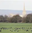  ??  ?? View of Chichester Cathedral from the site