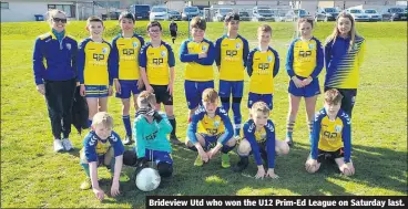  ?? ?? Brideview Utd who won the U12 Prim-Ed League on Saturday last.