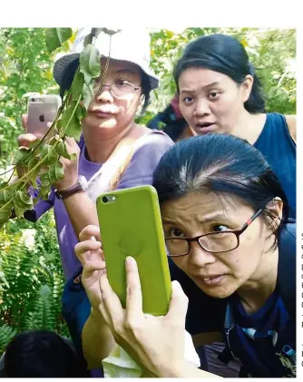  ?? — Photos: BENJAMIN ONG ?? Some of the eager and dedicated participan­ts of the 2018 Klang Valley City Nature Challenge. — TAN KAI REN