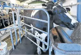  ?? MARCELO GENLOTE ?? Zona estratégic­a. Santa Fe produce el 32% de la leche de toda la Argentina.