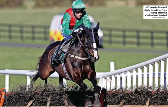  ?? Brian Lawless/PA ?? > Echoes In Rain will likely be retired from racing after the Cheltenham Festival