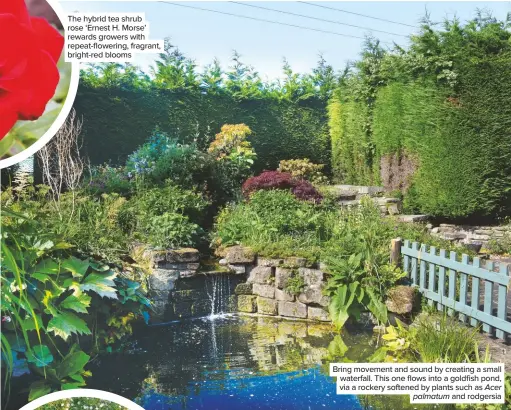  ??  ?? Bring movement and sound by creating a small waterfall. This one flows into a goldfish pond, via a rockery softened by plants such as Acer palmatum and rodgersia